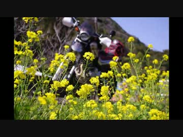 四国の林道ツーリング　その⑩