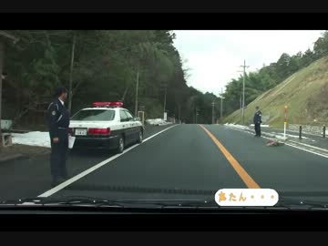 〔京都府京丹後市〕鹿との衝突現場に遭遇〔グロ注意〕