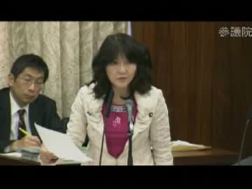 H240329 参院総務委・片山さつき　ＮＨＫが在日の参政権を訴える、を追及