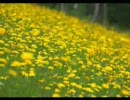 北海道ツーリングその５