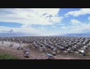 テストです。野生動物