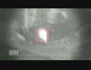 【CoD:MW3】盾ザビエルとイくＦＦＡ【生放送試合】