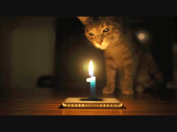 モアレとクリエ 「ハッピーバースデー・クリエ」