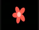 SakuraPhoto.MP4