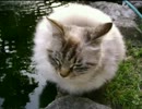 指の体操