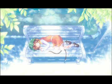 魔法少女と黒猫の輪舞曲