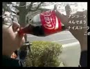 【ナイスコーラ】４８時間歩いてコーラを飲み続ける男【アンコーラ】