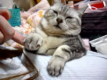 おててちょうだい