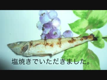 アドバイスのおかげ。【7話】夜はゴンズイ。日中は？