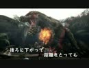 イビルジョーが倒せない