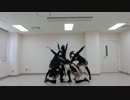 【タンスロイド】リリリリ★バーニングナイト【踊ってみた】