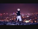 【ぶーちゃん】理想論　踊ってみた！？いいや動いてみた。