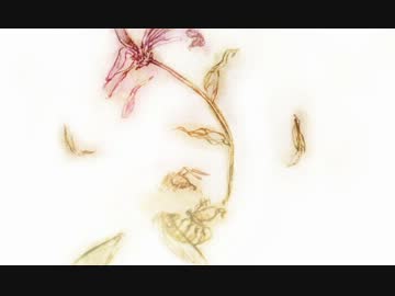 【NNIカバー】憂いに【激情ポストロック】