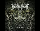 Borknagar - Mount Regency