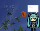 初音ミクの歌う 『秋桜 (コスモス)』