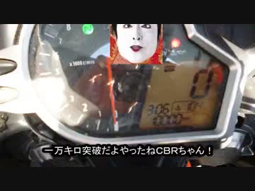 【バイク】花見ってなんだぁ？