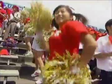 【甲子園】伝説のチアが吹っ切れた