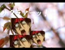サクラノキワミ、サクラアッー！！！！！