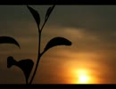 【KAITO、MEIKO】promise【カバー】
