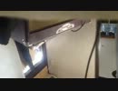 IMG_1385.MOV