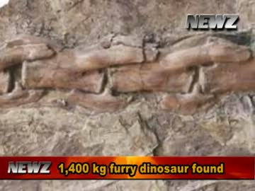 【中国】 過去最大の羽毛の生えた恐竜の化石を発見
