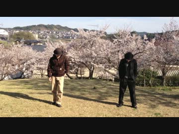 【joy】Just Be Friends を踊ってみた【コーヒー】