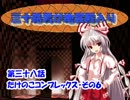 三十路男が地霊殿入り・第三十八話　【東方幻想入り動画】