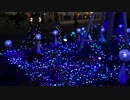 α77　Terrace Mall 湘南 「湘南1st Christmas」 2011