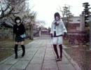 【むむまっふぁ】ヒール靴でハッピーシンセサイザ踊ってみた【塊】