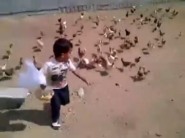 腹ペコのニワトリの大群に追われて泣き出してしまう子供