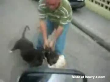 散歩中に他の犬にガッツリ噛み付いてしまったわんわん