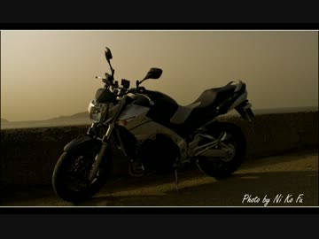 日本の素晴らしさを伝えようと頑張ってみた 完