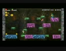 New！スーパーマリオブラザーズ wii【inトマト】 29個目