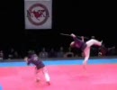 martial arts tricks