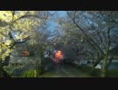 〖車載動画〗日本の四季 -sakura- 都田川桜堤 2012/04/07〖自転車車載〗