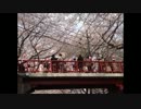 福山雅治　魂リク『桜坂』　 2012.04.07