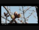 「春に一番近い街」を歌いました