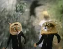 海外の猫MAD
