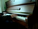 [Evans]を弾いてみた【ピアノ】