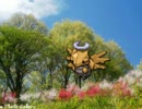 ヌケニン絶対選出でレート１６００を目指す！ポケモンBWパート９