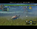 ①モンスターハンターP2G [01] 怪鳥イャンクック/青怪鳥イャンクック亜種