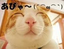 【難易度：Impossible】I wanna be the あびゃ～