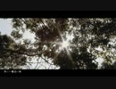 「春に一番近い街」を歌ってみた