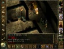 【実況】人生の息抜きにIcewind Dale part24
