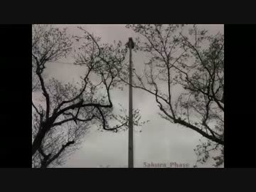 【多重ピアノミニマル：MIDIアニメ】サクラ_フェイズ【Gotrio】