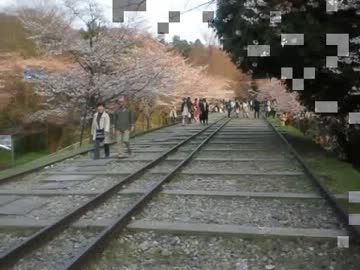 2012年　蹴上インクライン桜散策