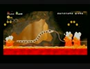 New！スーパーマリオブラザーズ wii【inトマト】 30個目