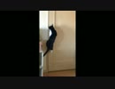 openthedoor.mp4