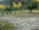 20081118_1028_２おふ