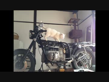 【バイク整備】冬は室内でヌクヌク整備～part9【ねこバイ】